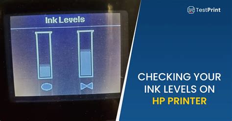 how to check hp printer ink levels windows 8 pdf manual